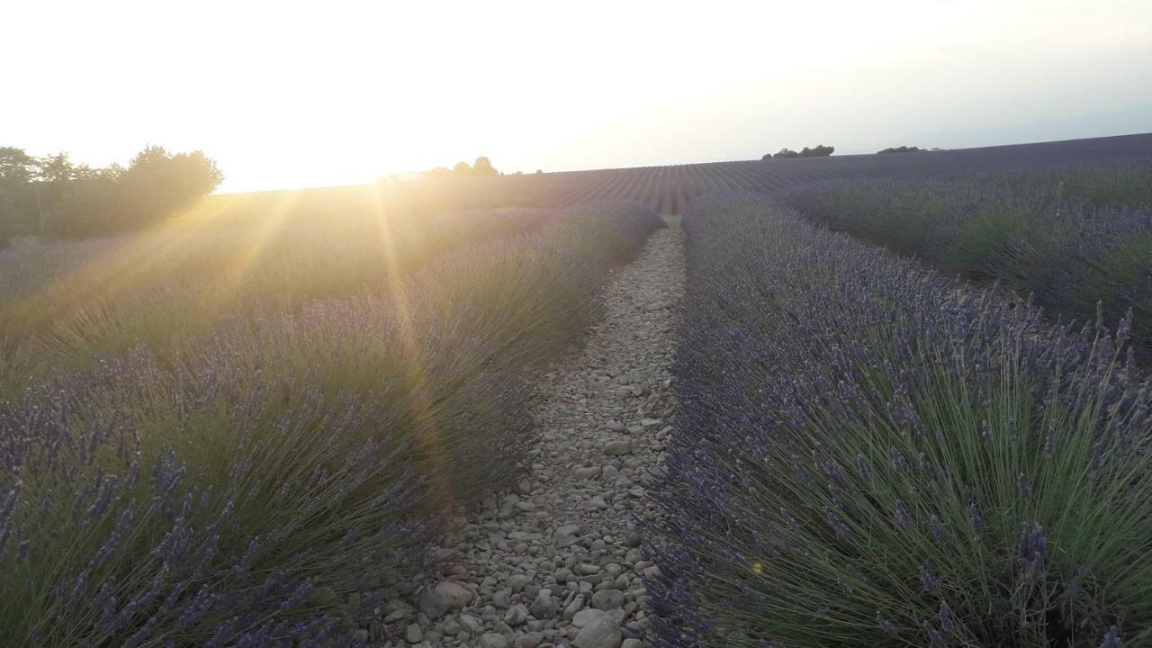 קאדונה Le Mas Du Colombier מראה חיצוני תמונה